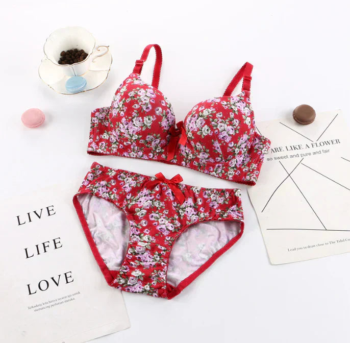 Combo Of 8 Bra & panties Set | BP-09